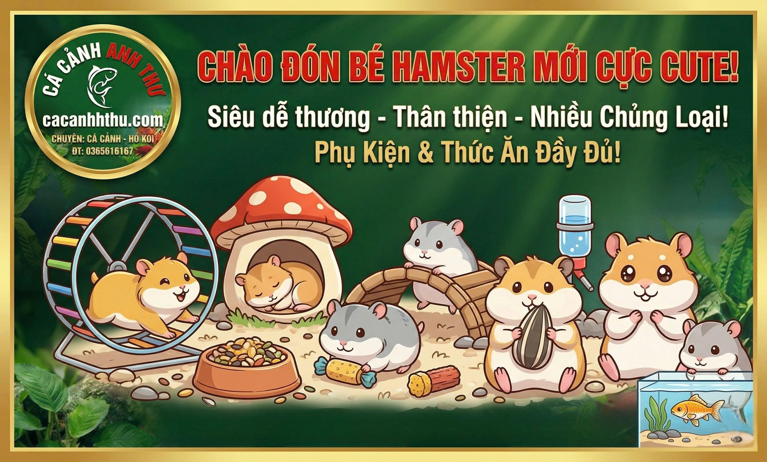 Mua Hamster Tại Dĩ An Bình Dương - Lô Mới Về Tại Cá Cảnh Anh Thư