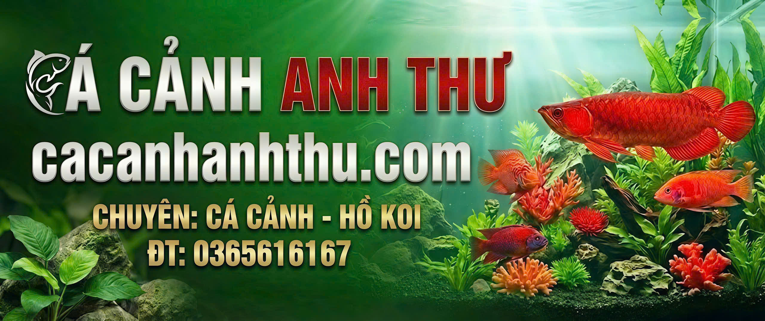 Tiêu đề banner 1